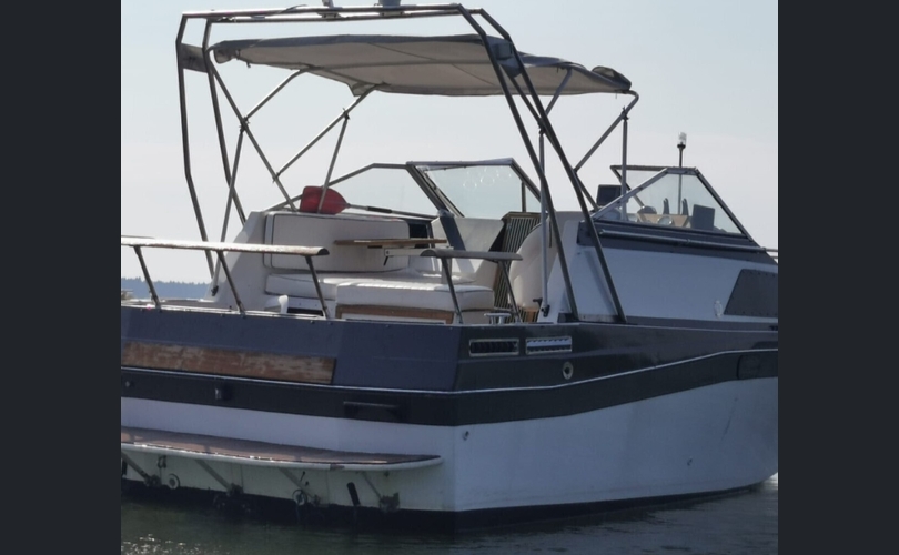 Bayliner 2550-kuva-9